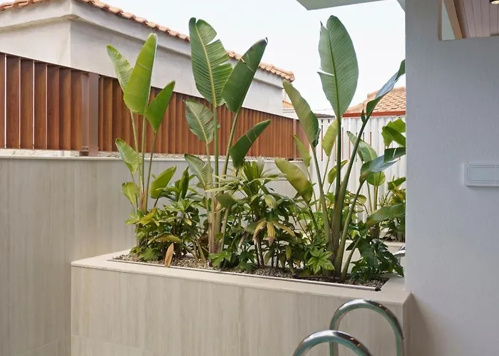 Palm Boutique 佩科霍里