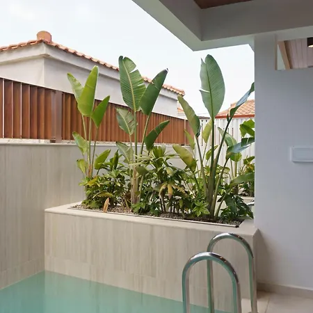 Palm Boutique Pefkochori